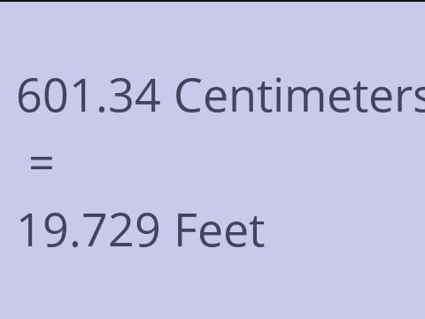 601.34 CM TO FEET