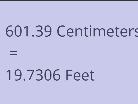 601.39 CM TO FEET