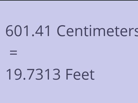 601.41 CM TO FEET