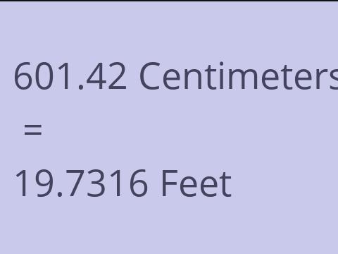 601.42 CM TO FEET