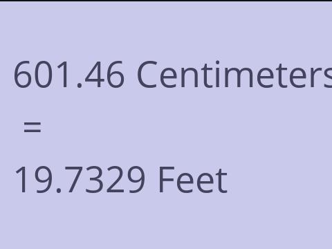 601.46 CM TO FEET