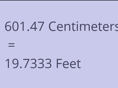 601.47 CM TO FEET