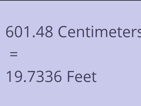 601.48 CM TO FEET