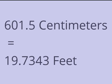 601.5 CM TO FEET