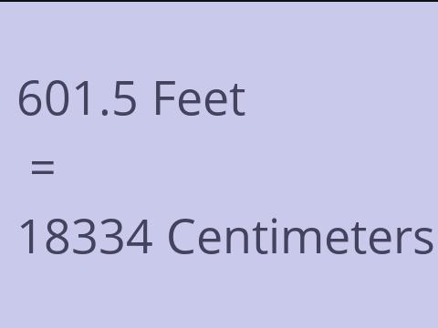 601.5 FEET TO CM