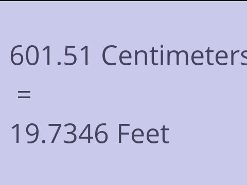 601.51 CM TO FEET