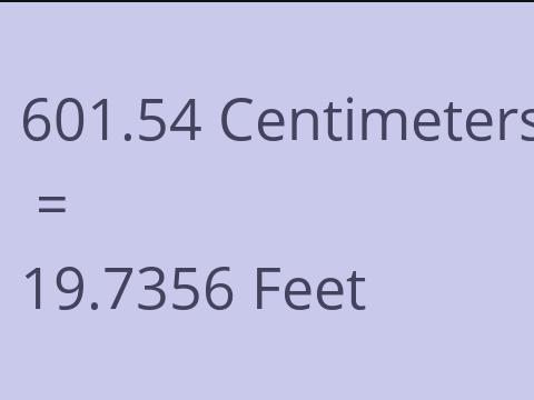 601.54 CM TO FEET