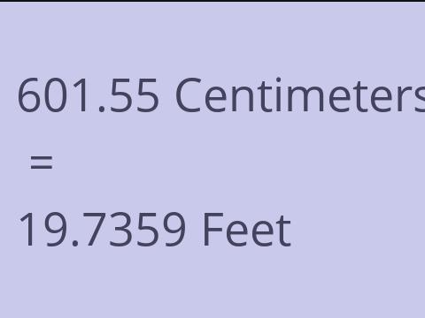 601.55 CM TO FEET