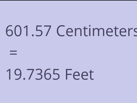 601.57 CM TO FEET