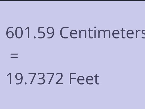 601.59 CM TO FEET