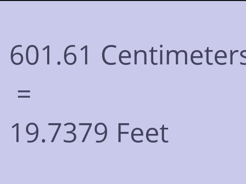 601.61 CM TO FEET