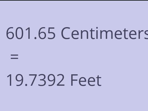 601.65 CM TO FEET