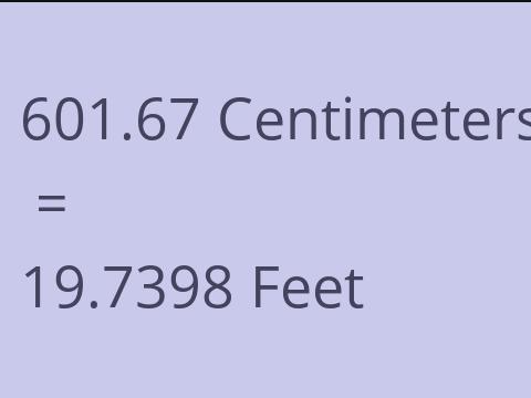 601.67 CM TO FEET