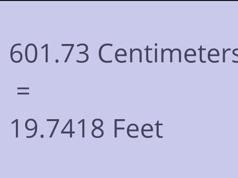 601.73 CM TO FEET