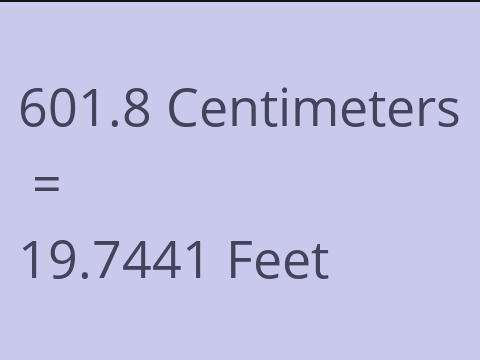 601.8 CM TO FEET