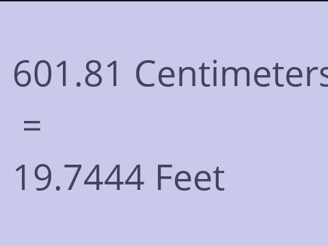 601.81 CM TO FEET