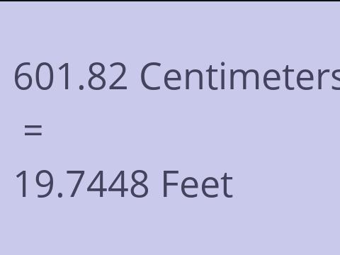 601.82 CM TO FEET