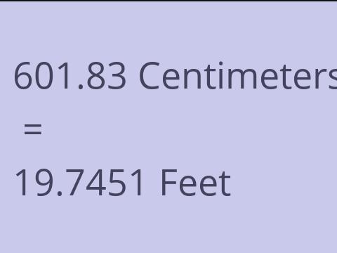 601.83 CM TO FEET