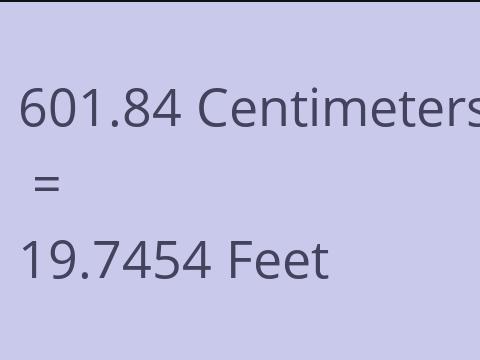 601.84 CM TO FEET