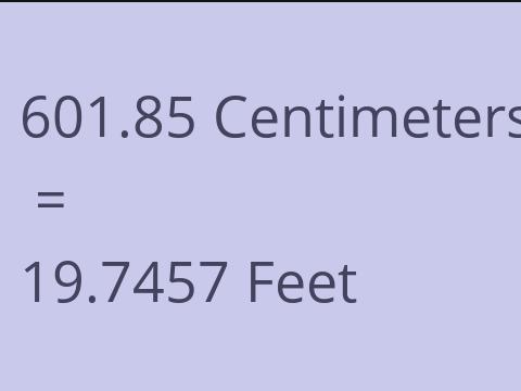 601.85 CM TO FEET