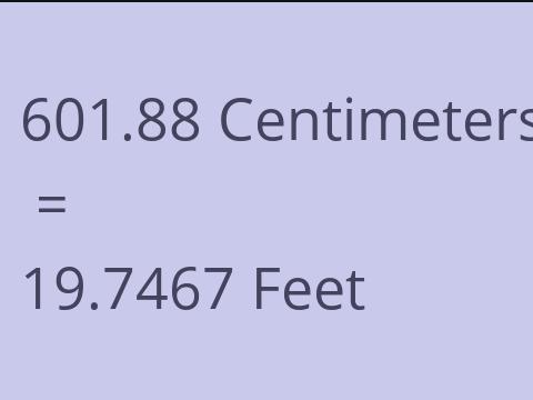 601.88 CM TO FEET