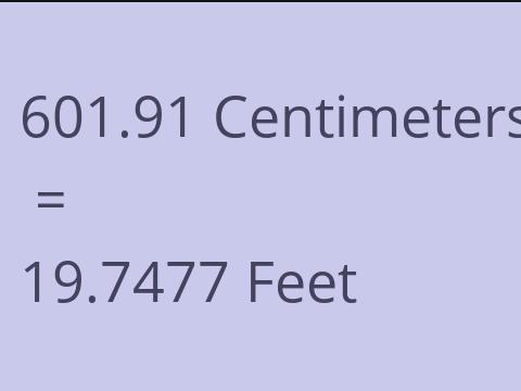 601.91 CM TO FEET