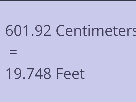 601.92 CM TO FEET