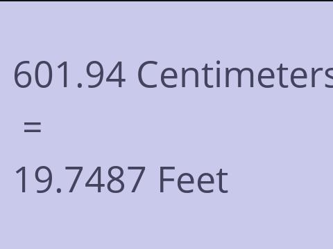 601.94 CM TO FEET