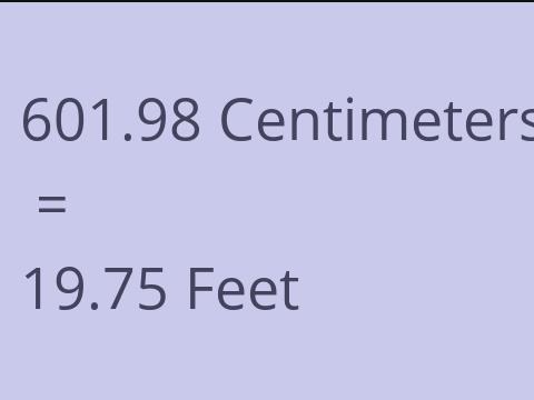 601.98 CM TO FEET