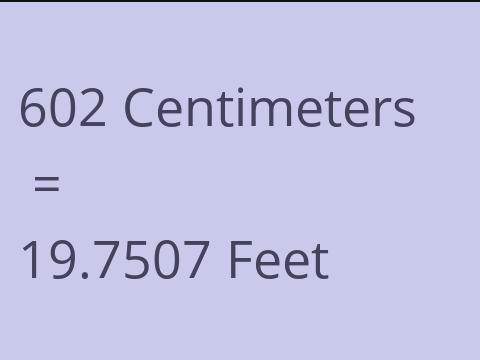 602 CM TO FEET