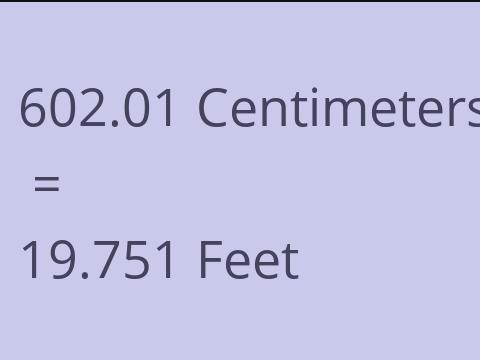 602.01 CM TO FEET