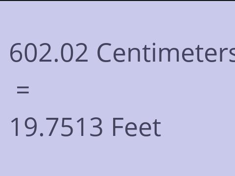 602.02 CM TO FEET