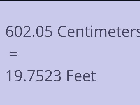 602.05 CM TO FEET