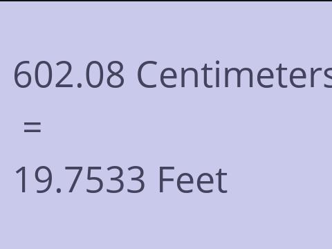 602.08 CM TO FEET