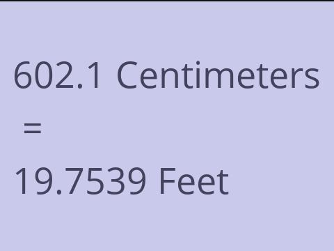 602.1 CM TO FEET