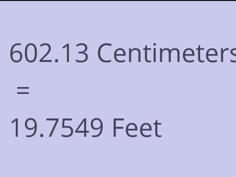 602.13 CM TO FEET