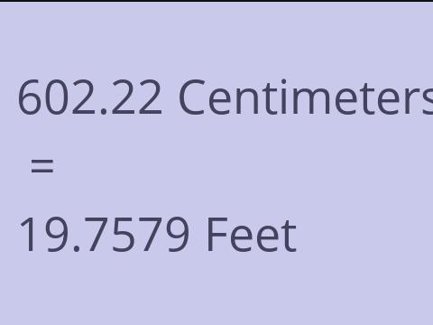 602.22 CM TO FEET