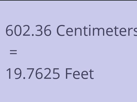 602.36 CM TO FEET