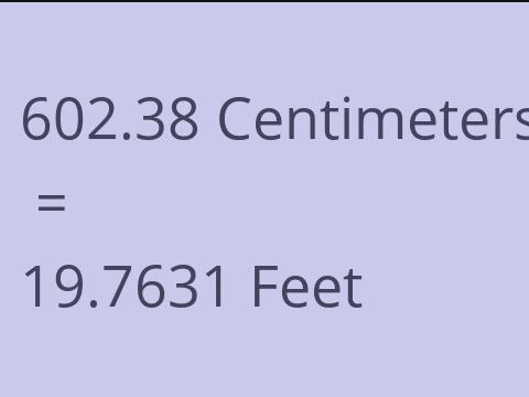 602.38 CM TO FEET