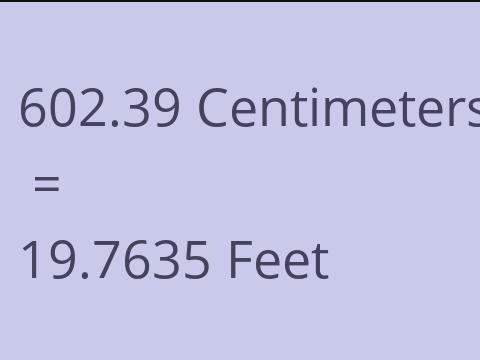 602.39 CM TO FEET