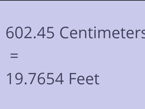 602.45 CM TO FEET