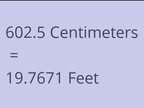 602.5 CM TO FEET