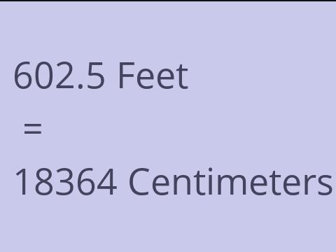 602.5 FEET TO CM