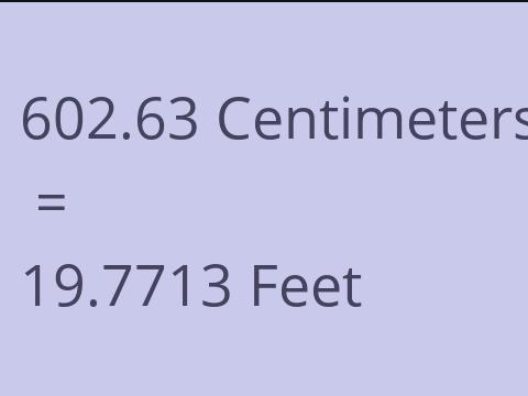 602.63 CM TO FEET