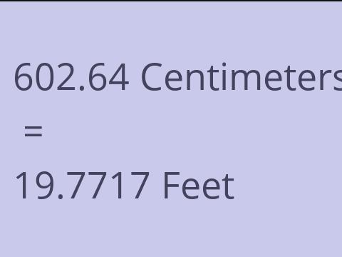 602.64 CM TO FEET