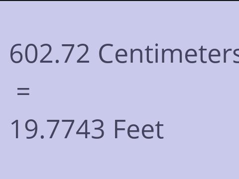 602.72 CM TO FEET