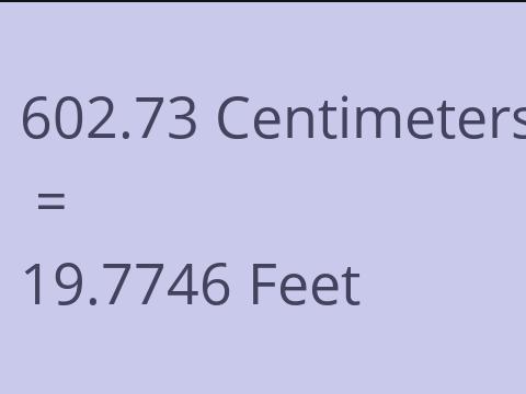 602.73 CM TO FEET