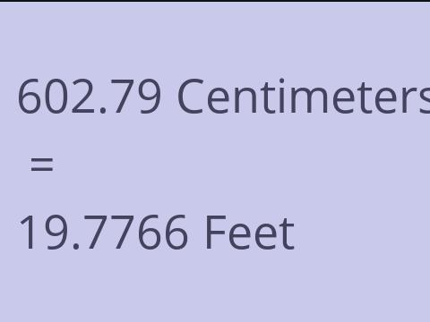 602.79 CM TO FEET