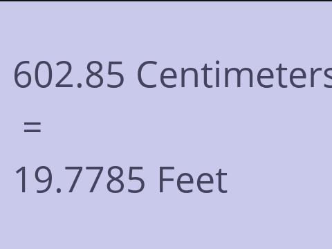 602.85 CM TO FEET