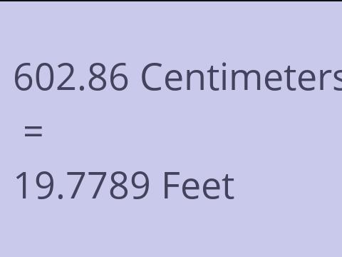 602.86 CM TO FEET